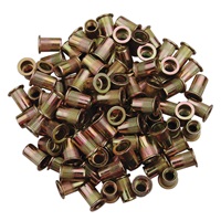 5/16"-18 Zinc-Plated Steel Rivet Nuts - 100Pk